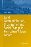 Land Commodification, Urbanisation and Social Change in Peri-Urban Villages, Lahore (eBook, PDF)