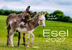 Cover Esel Kalender 2027