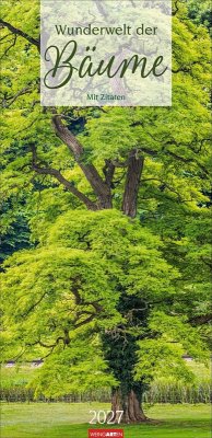 Cover Wunderwelt der Bäume Kalender 2027
