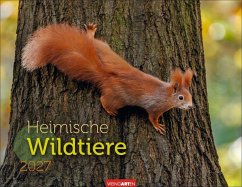 Cover Heimische Wildtiere Kalender 2027