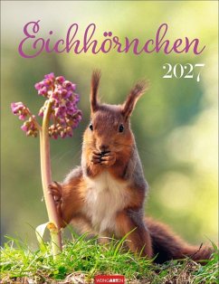 Cover Eichhörnchen Kalender 2027