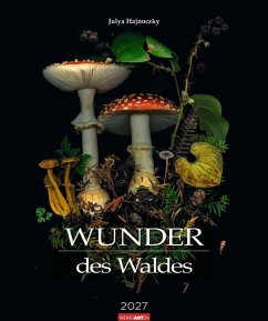 Cover Wunder des Waldes 2027
