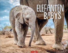 Cover Elefantenbabys Kalender 2027