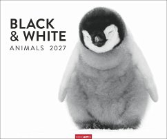 Cover Black & White Animals 2027