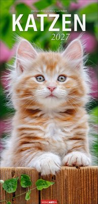 Cover Katzen Kalender 2027