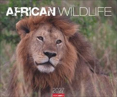 Cover African Wildlife Kalender 2027