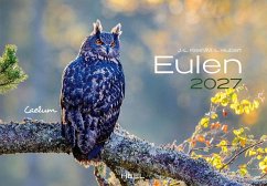 Cover Eulen Kalender 2027