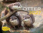 Otter Kalender 2027 Wandkalender Eintragkalender