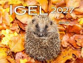 Igel 2027 Eintragkalender