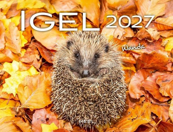 Igel 2027 Eintragkalender Igel 2027 Eintragkalender