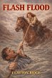 Flash Flood (eBook, ePUB) - Bild 1