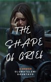 THE SHAPE OF GRIEF (eBook, ePUB)
