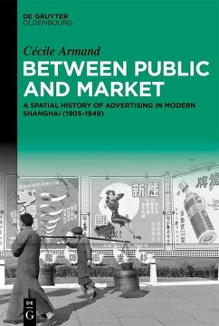 Between Public and Market (eBook, PDF) - Armand, Cécile