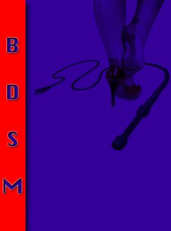 Cover Erotische Geschichten BDSM Band 1. (eBook, ePUB)