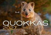 Quokkas 2027 Kalender