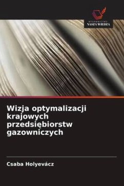 Cover Wizja optymalizacji krajowych przedsi¿biorstw gazowniczych