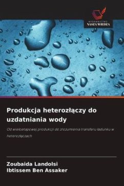 Cover Produkcja heteroz¿¿czy do uzdatniania wody