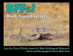 Cover BFFs! Black-Footed Ferrets (Paperback)