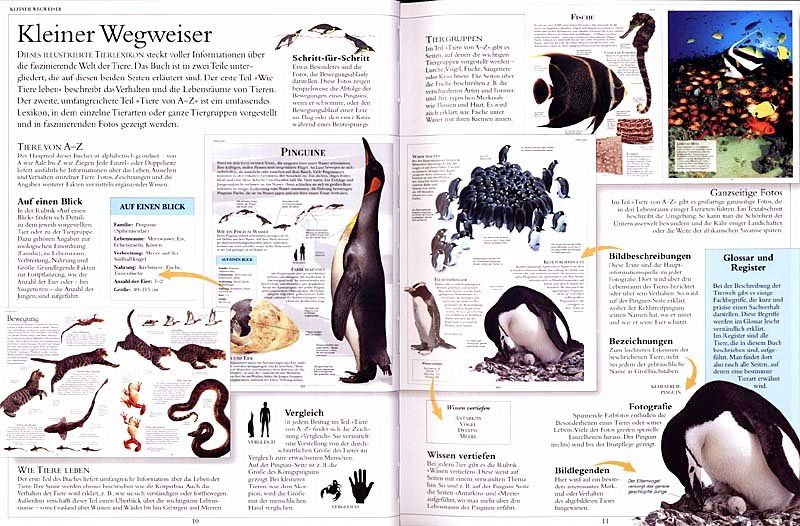 Das Grosse Tierlexikon Fur Kinder Portofrei Bei Bucher De Bestellen