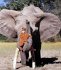 Tippi aus Afrika - Bild 3