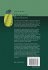 Fibonacci Numbers - Bild 2