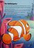 Findet Nemo - Bild 7