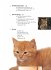 Turners Katzenbuch – Wie Katzen sind,... - Bild 3