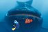 Findet Nemo, 2 DVDs - Bild 10