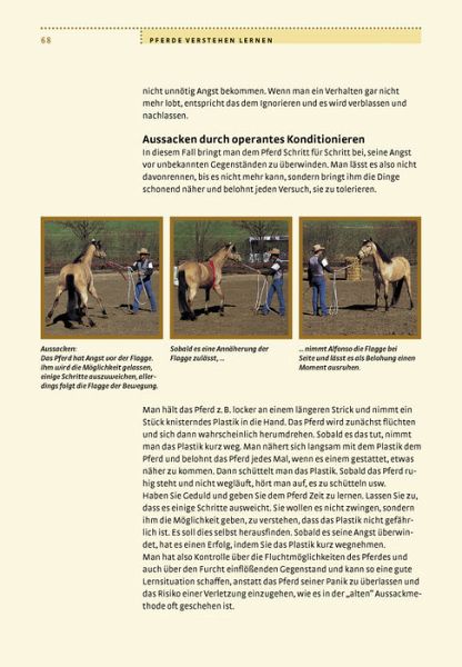 Wie Pferde lernen wollen - Bodenarbeit, Erziehung und Reiten von Alfonso  Aguilar portofrei bei bücher.de bestellen