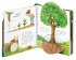 Der Wald / Wieso? Weshalb? Warum?... - Bild 5
