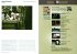 Cyberarts 2004, m. Audio-CD u. DVD - Bild 5