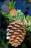 Der Baum - Bild 5
