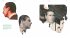 Francis Bacon. Die Portraits - Bild 6