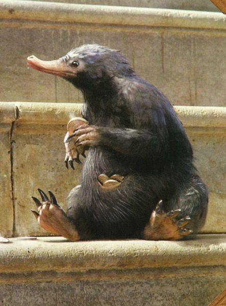 Phantastische Tierwesen und wo sie zu finden sind: Newt Scamander - Das  Handbuch … von Rick Barba günstig bei jokers.de bestellen