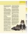 Katzenrassen : alle Rassen und alle... - Bild 6