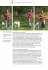 Hundetraining mit Martin Rütter - Bild 8