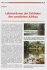 Die Cichliden des westlichen Afrikas - Bild 2