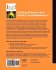 Building Websites with VB.NET and... - Bild 2