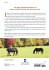 Horseman's Veterinary Encyclopedia,... - Bild 2