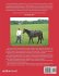 A Puppy Named Gus and the Circus Pony - Bild 2