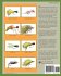 Bass Bug Basics - Bild 2