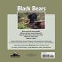 Black Bear - Bild 2
