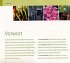 Fotogalerie Fotogalerie