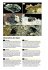 Tiere und Pflanzen der Alpen - Bild 8