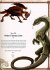 Drachen zeichnen - Bild 4