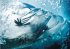 Teahupoo - Tahitis perfekte Welle - Bild 10