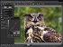 Silkypix Developer Studio 3.0 - Bild 2