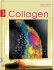 Collagen, m. DVD - Bild 2