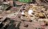 Command & Conquer 3: Kanes Rac - Bild 3