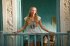 Mamma Mia!, DVD - Bild 2